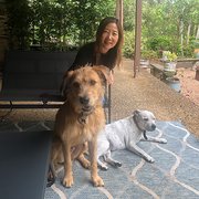 House Sitter - Pet pampering