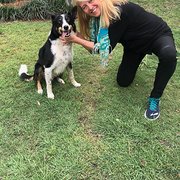 House Sitter - Mature Solo Pet Loving Companion