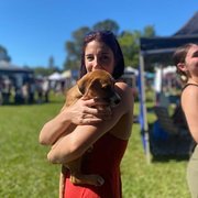 House Sitter - Trustworthy House Sitter