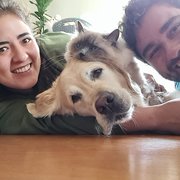 House Sitter - Paula e Piero