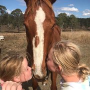 House Sitter -  Animal Lovers