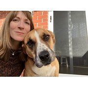 House Sitter - Love animals ❤️works from home 