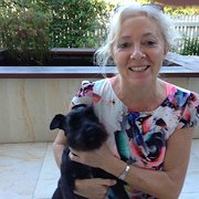 House Sitter - HousePetSitterAngie