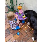 House Sitter - Chris & Lucy