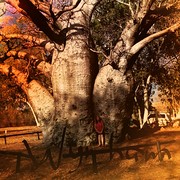 House Sitter - Super extra  caring Grey Nomads 