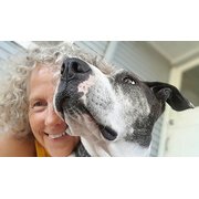 House Sitter - A kindness is never wasted.