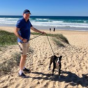 House Sitter - Animal and Garden Friend