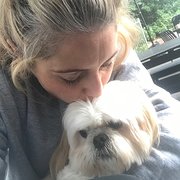 House Sitter - Jess Constantine