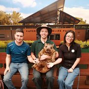 House Sitter - Two Sitters, Endless Love for Your Pets