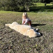 House Sitter - Caring for every moment and breath 