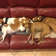 House Sitter - My 7th Year Here At Mindahome 😁