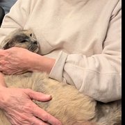 House Sitter - Pet / House / Garden Sitting Perth WA