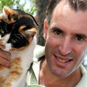 House Sitter - Clean living quiet tidy guy mad for cats