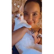 House Sitter - Honest and Meticulous!