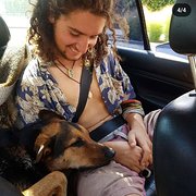 House Sitter - Gabriel, experienced and careful sitter