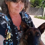 House Sitter - Reliable, competent, trustworthy