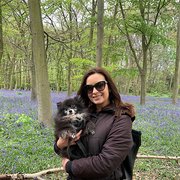 House Sitter - Experienced cat and dog sitter