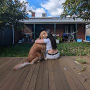 House Sitter - We take good care of it ! :)