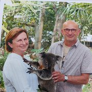 House Sitter - Springis on tour