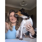 House Sitter - Nikita