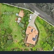 House Sitter - Maleny - Sunshine Coast