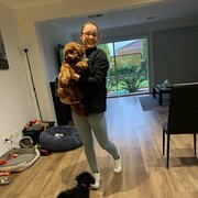 House Sitter - Friendly fur baby sitter