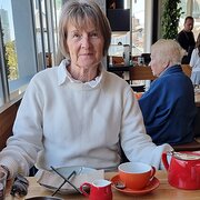 House Sitter - Mature house sitter