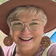 House Sitter - Houseproud, mature aged teacher