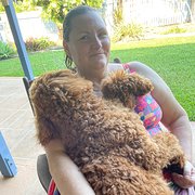 House Sitter - Professional, capable and caring teacher