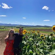 House Sitter - Carefree D&A Sitting 