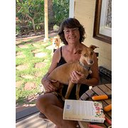 House Sitter - Responsible, experienced, quality care