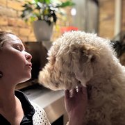 House Sitter - Amanda