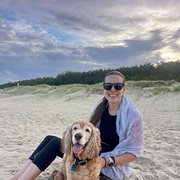 House Sitter - Experienced Dog and Cat Sitters