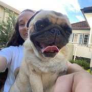 House Sitter - Sophie - A Pea in your Pod