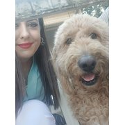 House Sitter - Reliable friendly female 36