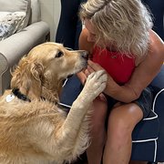 House Sitter - Emese & Adel