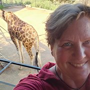 House Sitter - Animal loving Allied Health Professional