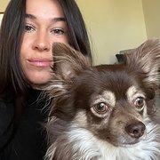 House Sitter - Artist/gardener/dog lover!