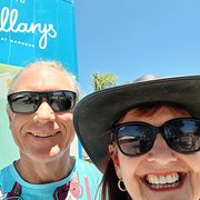 House Sitter - Kind, caring, clean, honest and reliable