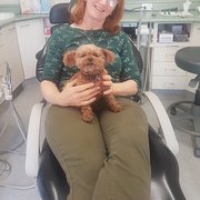 House Sitter - EXCELLENT CHOICE