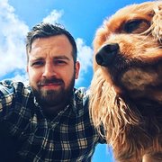 House Sitter - Writer/Artist- Reliable, Tidy, Pet-Lover