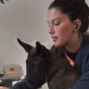 House Sitter - Loving Pet Sitters in Perth