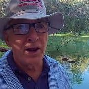 House Sitter - Robert and Red (Kelpie cross)