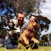 House Sitter - Professional, pet-loving, green-thumbs