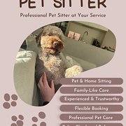 House Sitter - Responsible experienced individual