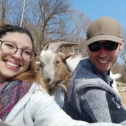 House Sitter - Couple willing to help in Cairns