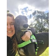 House Sitter - Kyla - Reliable, Tidy Housesitter