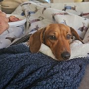 House Sitter - Rob and Mel