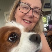 House Sitter - Barbara and  happy Greta 