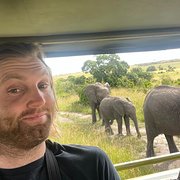 House Sitter - Reliable house and pet sitter